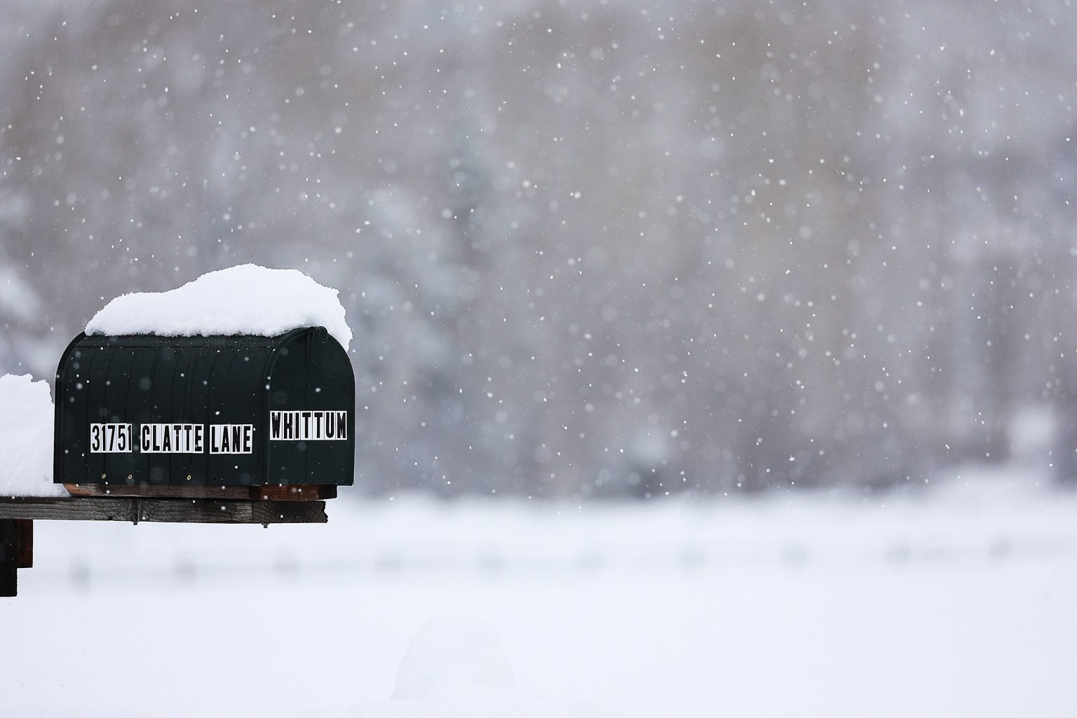 Storm over Storm Peak: 18 inches of snow leads Steamboat Resort to open ...