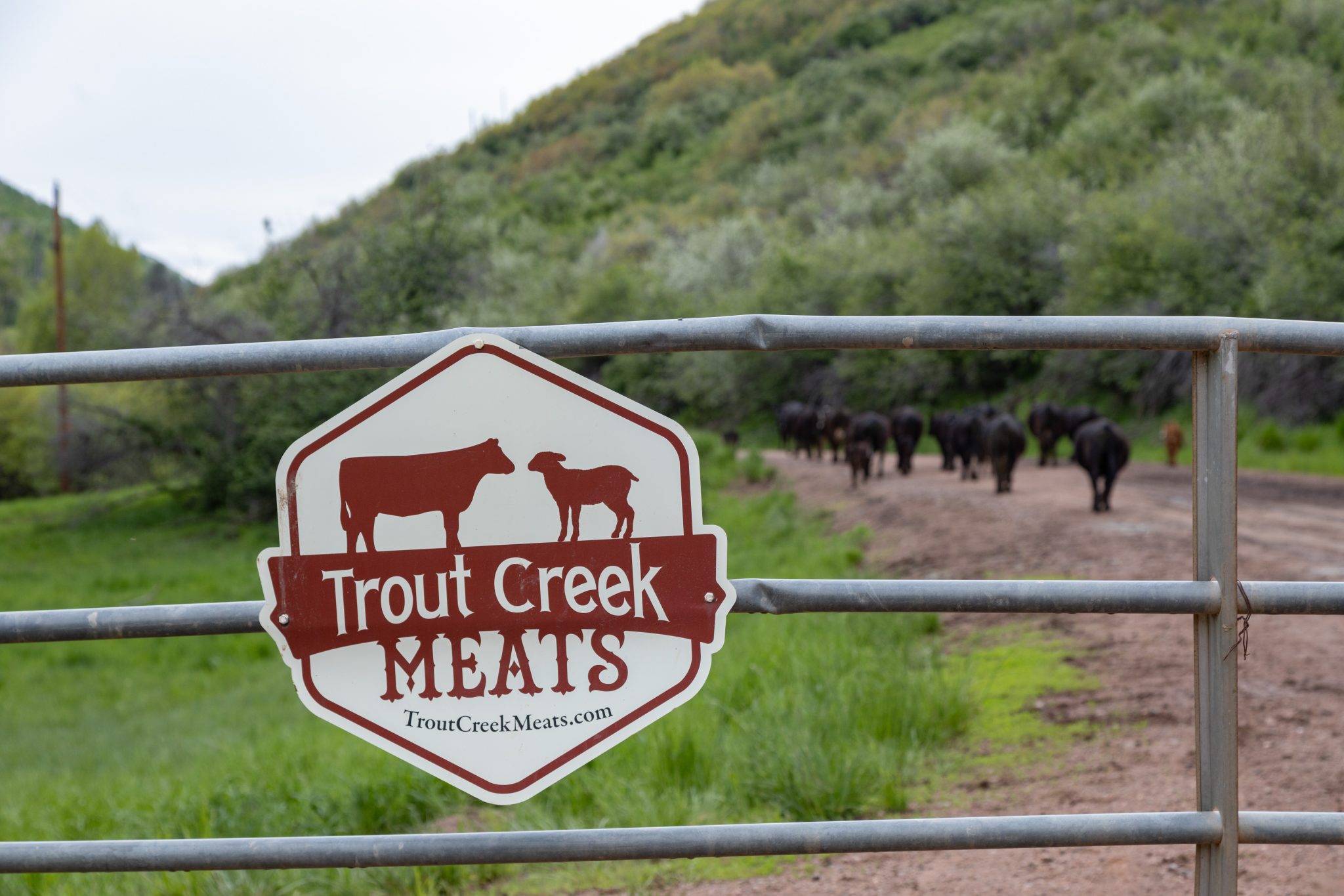 Oak Creek farmers named best in America