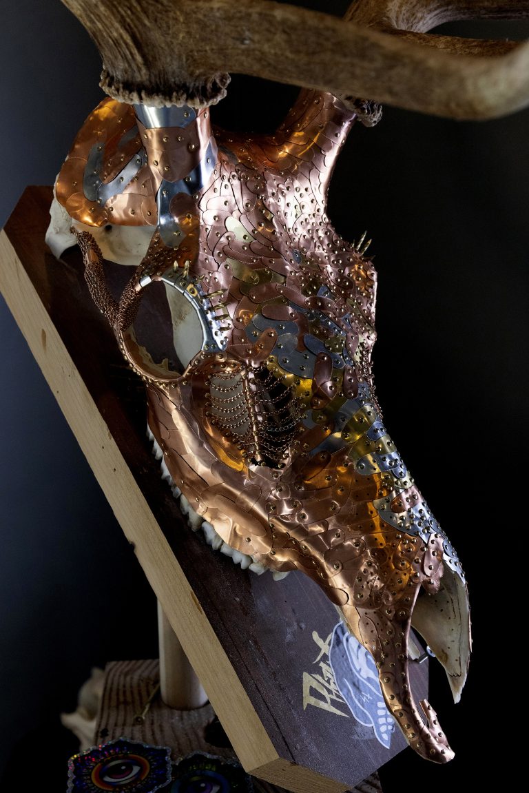 Yampa Valley taxidermist creates his own path, brings artistic touch to the craft with Battle