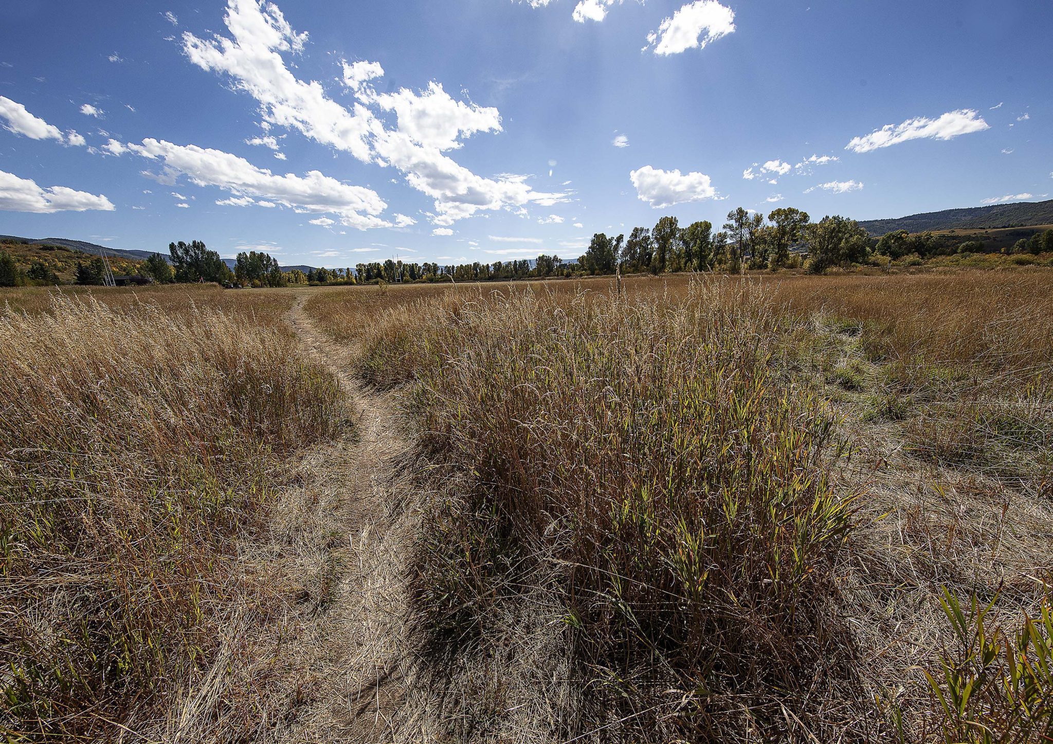 Whistler Park parcel ‘absolutely not for sale right now,’ says