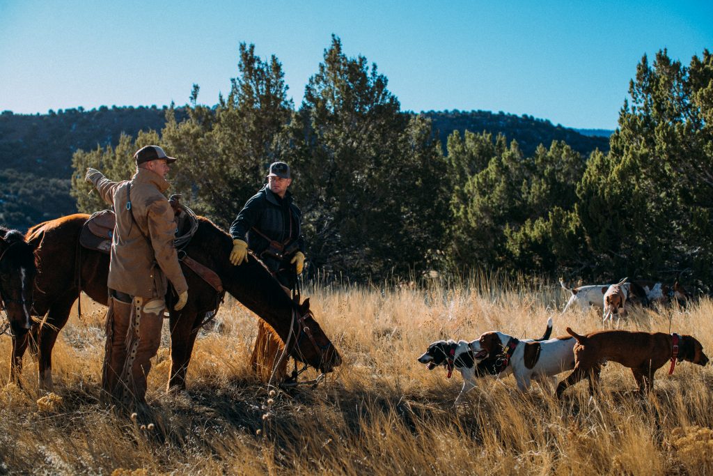 Proposition 127: Is mountain lion and bobcat hunting unethical or just ...