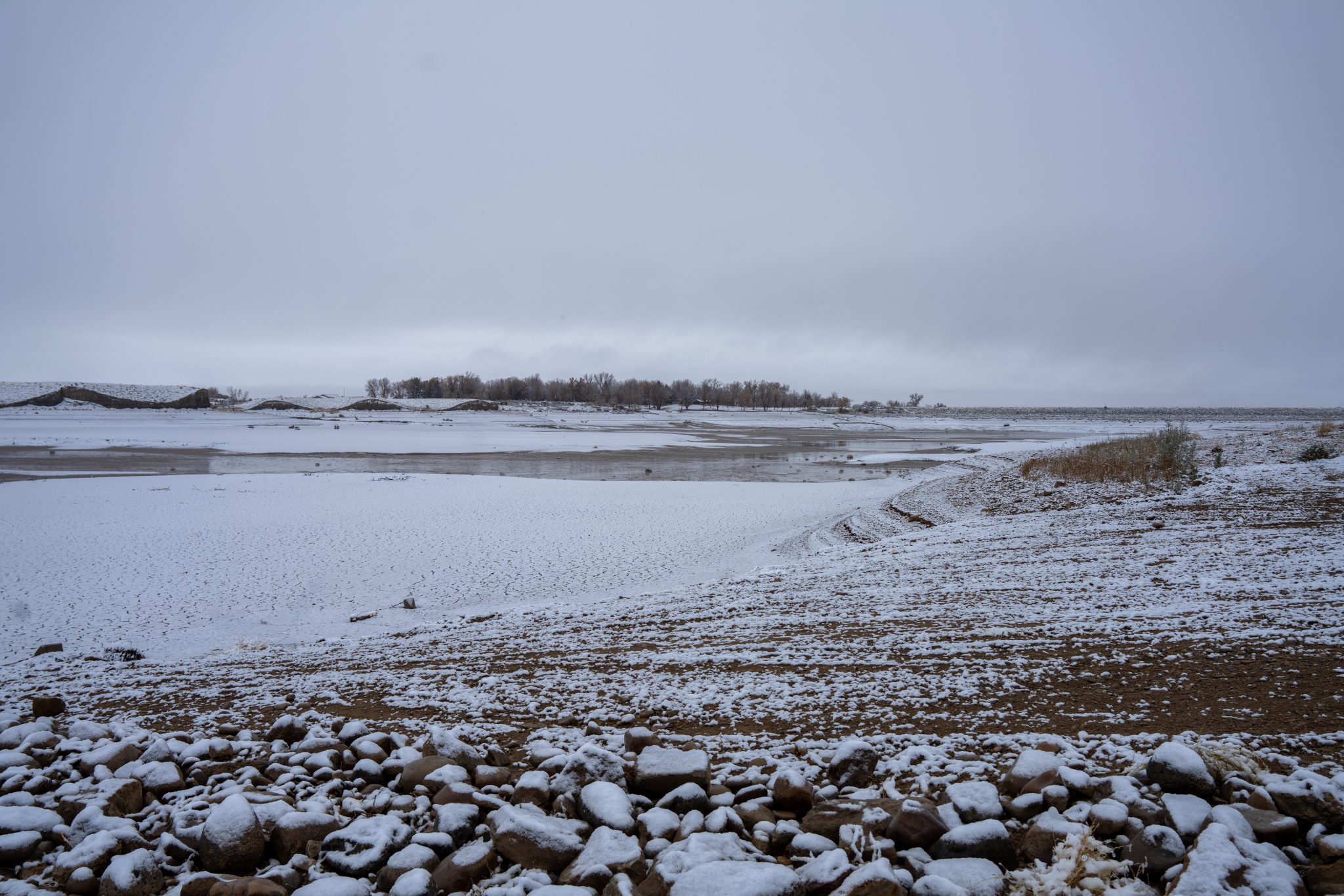 Colorado lawmakers take aim at zebra mussels, invasive species in