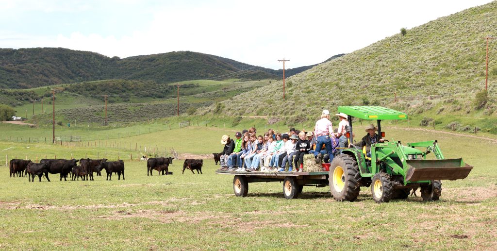 School Ranch Third-graders from Steamboat Springs schools head to the ranch, get a ...