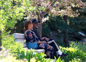Yampa River Botanic Park blooms, even as iconic garden deals with drought