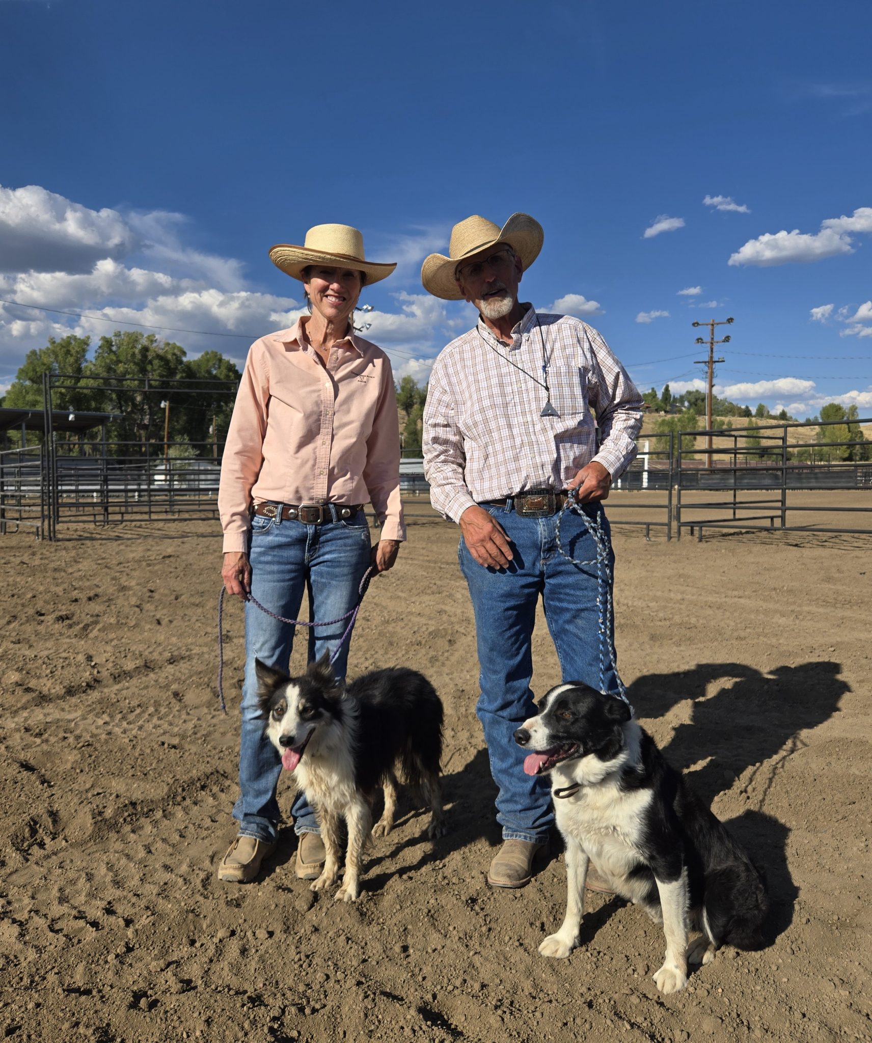Livestock dogs earn their kibble as top-notch Routt County ranch hands ...