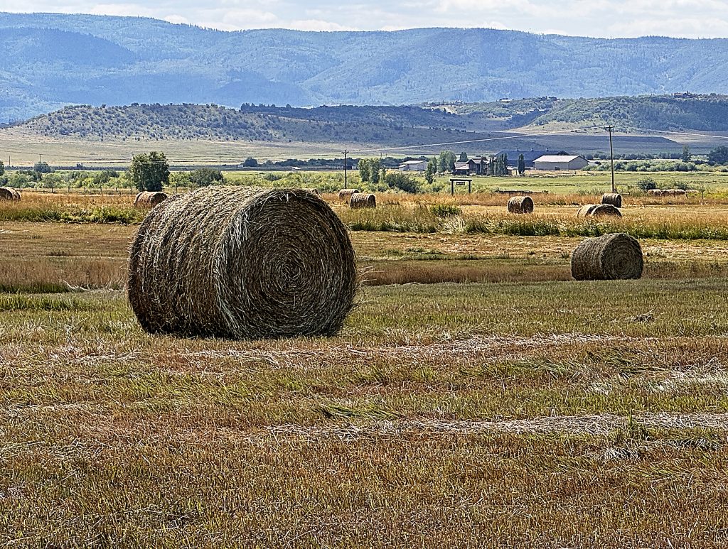 Passing the Torch: Supporting the next generation of Colorado producers