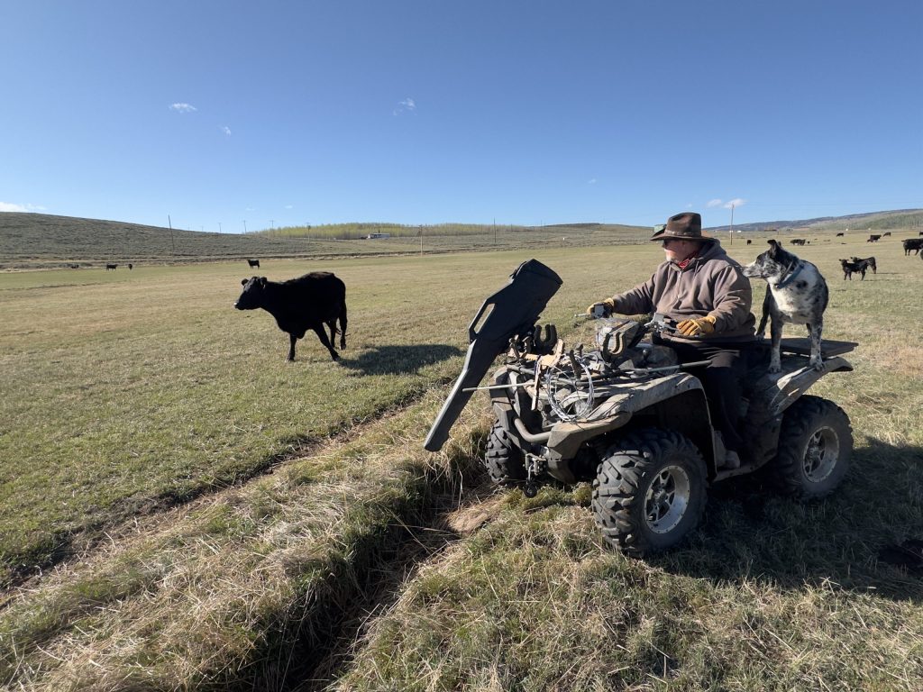 Bagaimana penduduk Kabupaten Agung menggunakan kolaborasi, kecerdasan buatan, dan teknologi baru untuk membantu produsen menghadapi serigala.