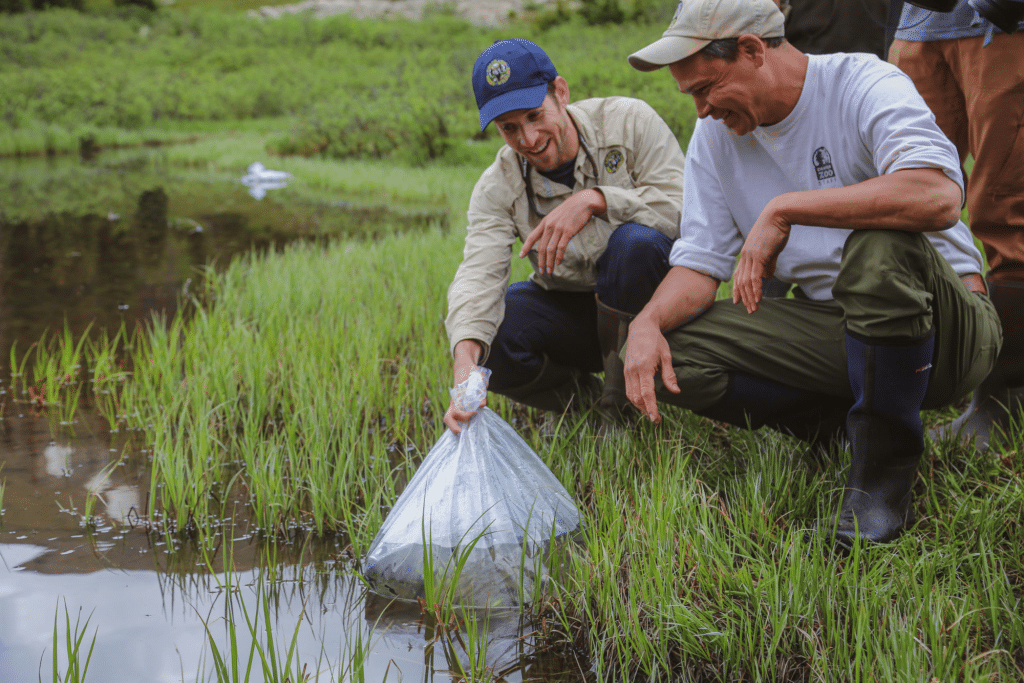 Colorado Parks and Wildlife to flood $1.2 million into wetland, riparian projects