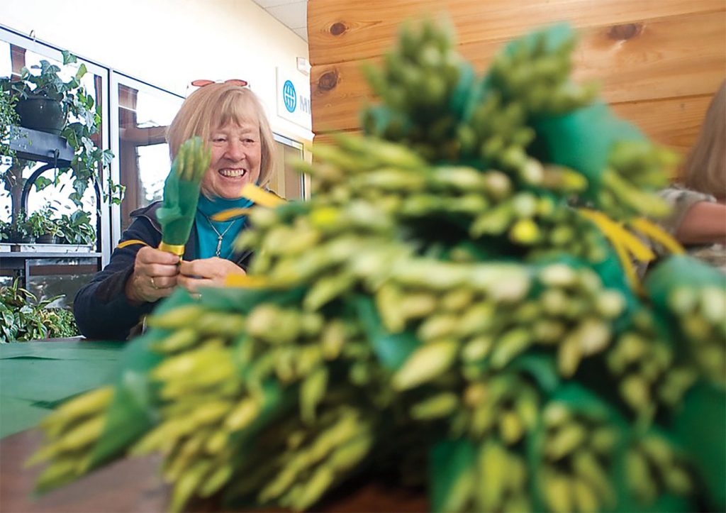 Flowers bloom as Daffodil Hospice Fundraiser sees continued growth in Steamboat Springs