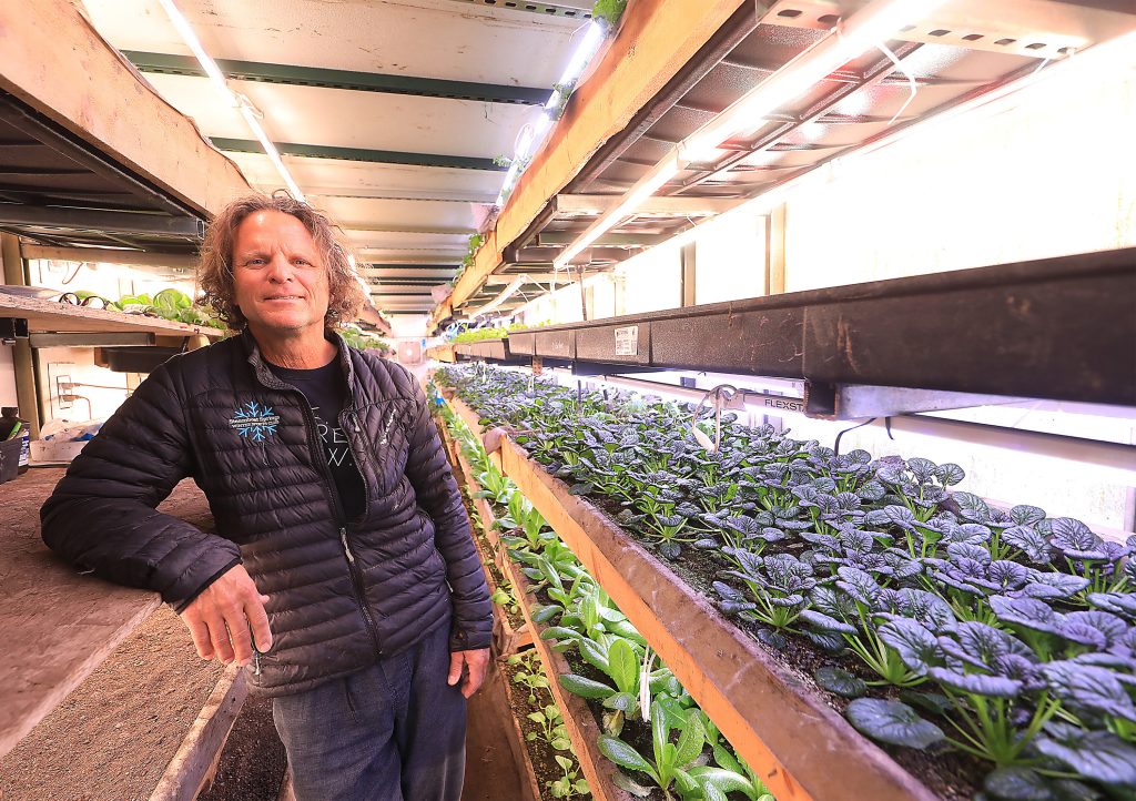 Buffalo Pass Farm brings fresh ideas, locally produced food to Steamboat Springs