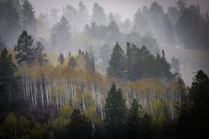 Wildfire risk is rising on Colorado’s Western Slope as strong El Niño is expected to bring monsoon rain in ‘spurts’