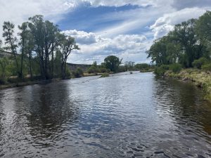 How did Colorado get here? Understanding the drought emergency in the headwaters state