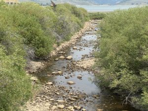 Low flows prompt voluntary fishing closure on part of Yampa River