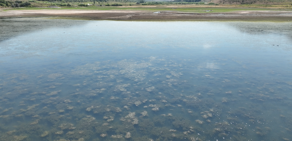 CAA: Beyond drought – Understanding water quality challenges in the Upper Yampa River Basin