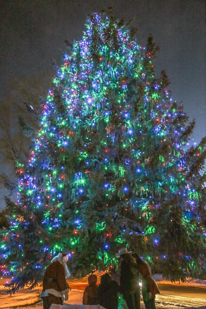 Cut your own Christmas Tree on the Sulphur Ranger District Dec 512