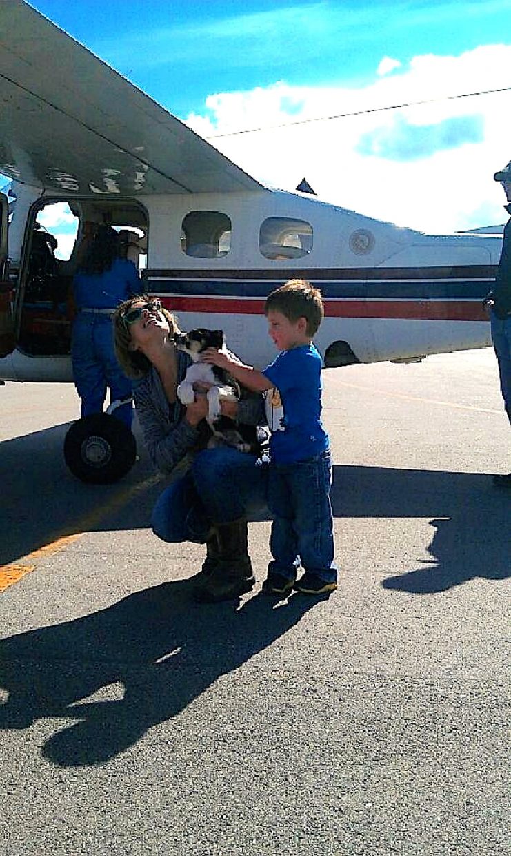 Pilots deliver dog to new owner in Grand | SkyHiNews.com