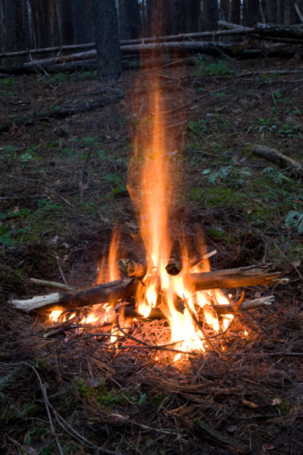 Grand County and BLM enter stage 1 fire restrictions, fires allowed in ...