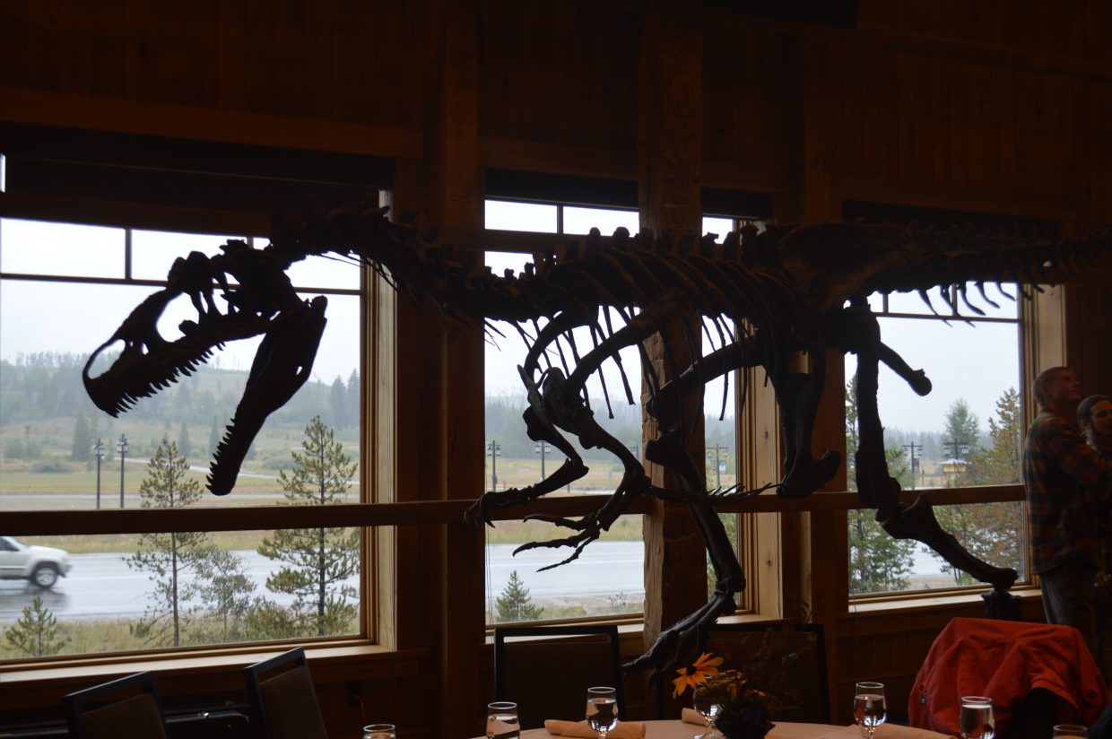 The allosaurus fossil found in Grand County is currently housed in the Smithsonian in Washington D.C. 