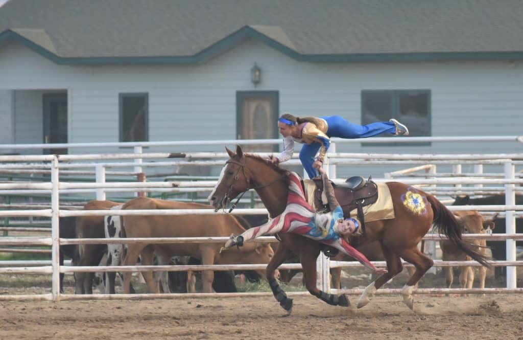 CPRA Rodeo still a wild ride at reduced capacity (photos) | SkyHiNews.com