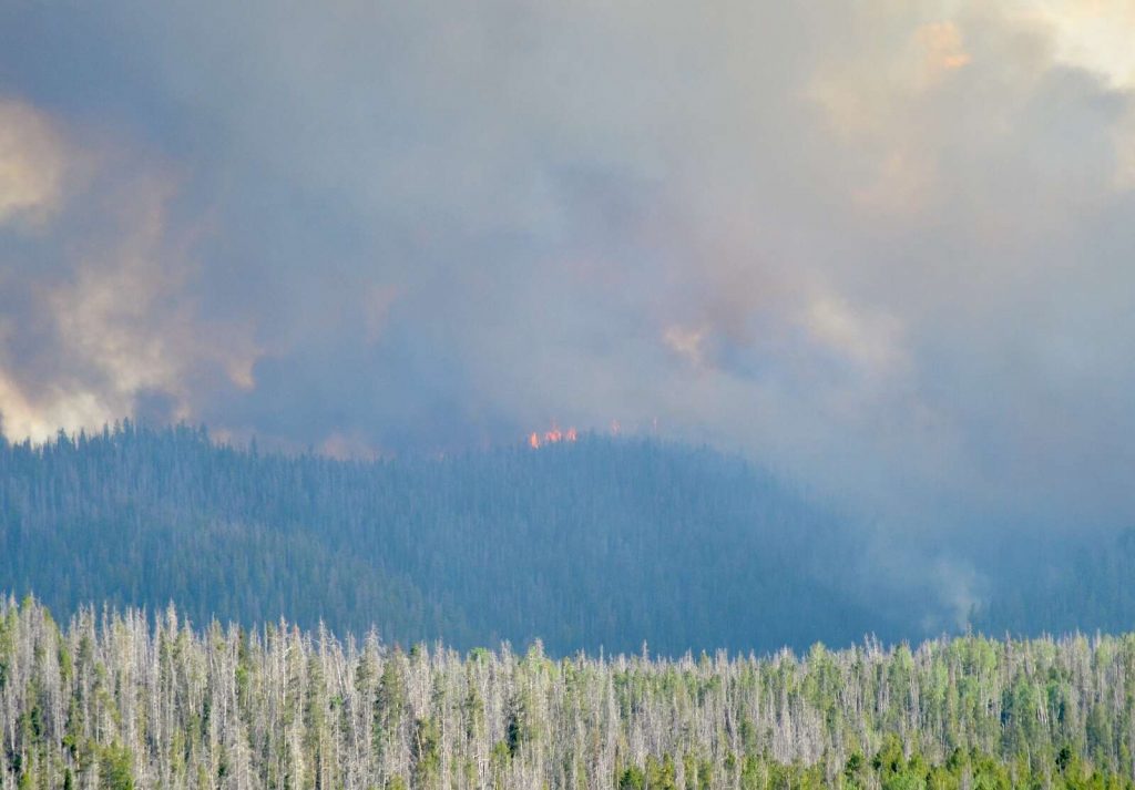 Muddy Slide Fire in South Routt holding at over 4K acres; expected to ...