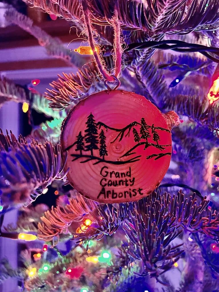 Grand County Arborist offers tips for keeping live Christmas trees