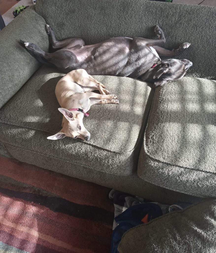 Fire crews contain house fire in Hot Sulphur Springs