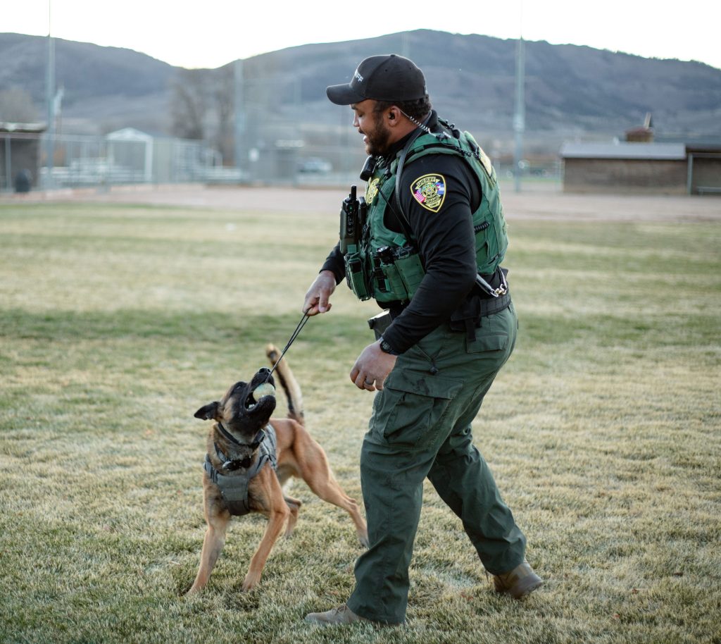 K9 Jack joins Grand County Sheriff’s Office
