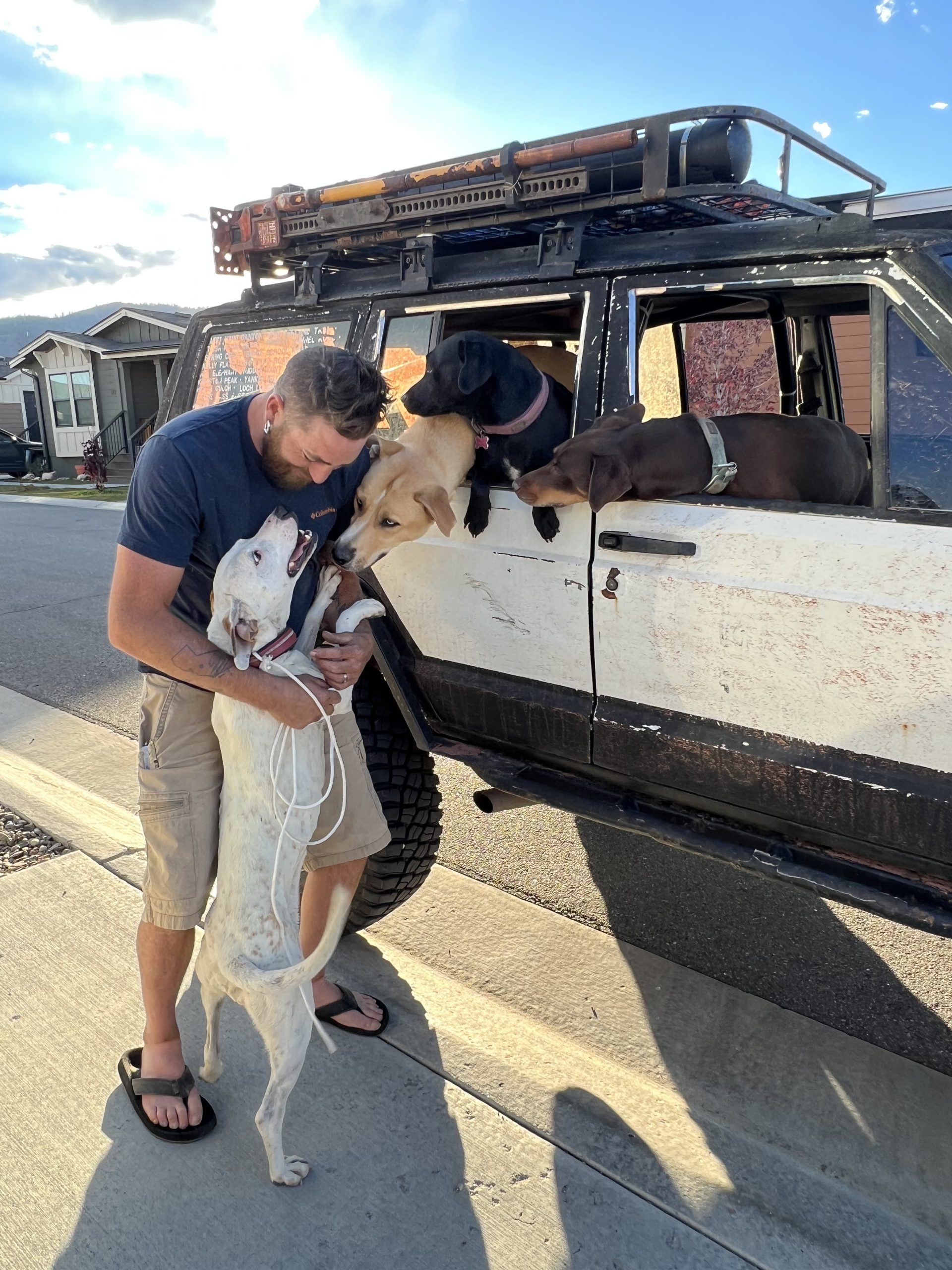Dog reunites with family 4 months after jumping out of car window in ...