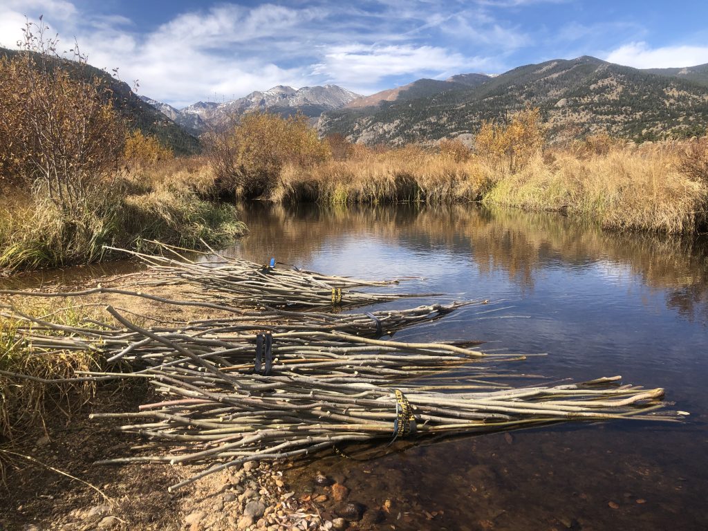 OPINION | Water corner: A confluence of streams, policy and people - Vimarsana News