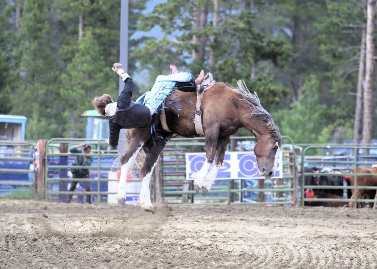 High Country Stampede Rodeo results | SkyHiNews.com