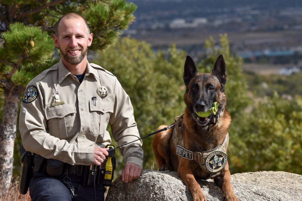 How Colorado Parks and Wildlife is using dogs to reduce bear conflicts