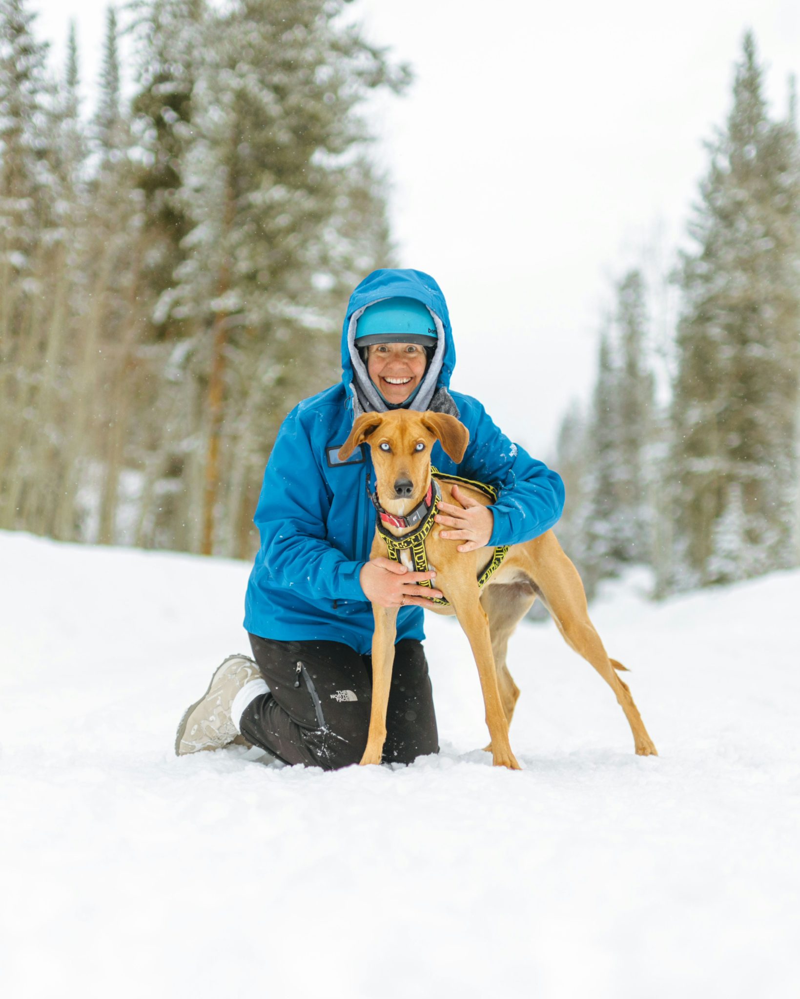 Grand County dog sled racer mushes to world championships | SkyHiNews.com