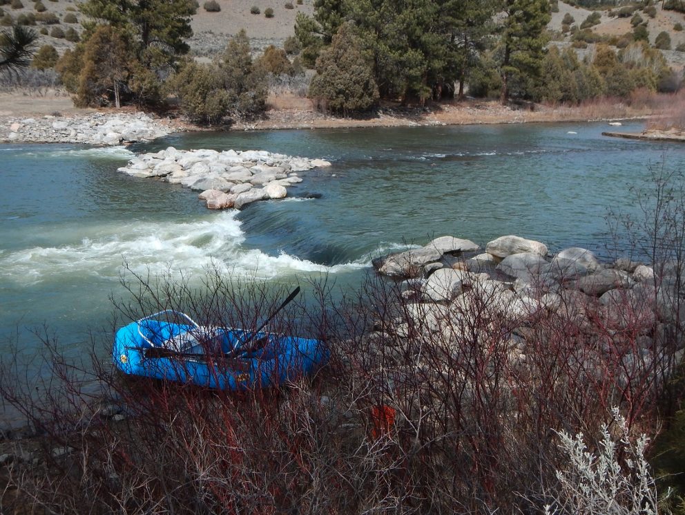 Study finds manmade whitewater parks in Colorado may inhibit fish migration