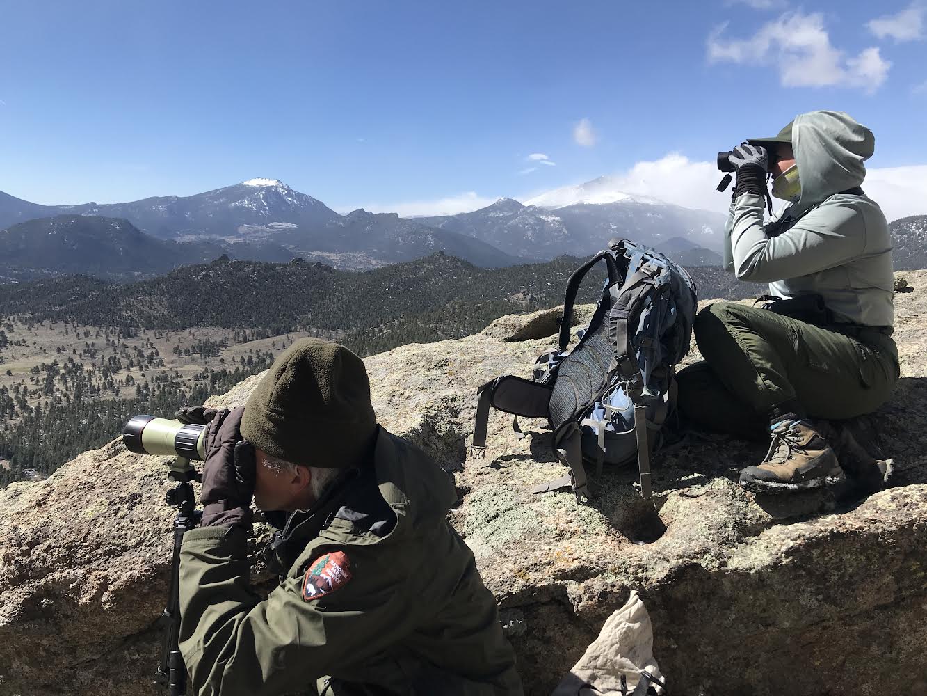 Climbing Raptors Rocky Mountain National Park announces nesting closures at popular ...