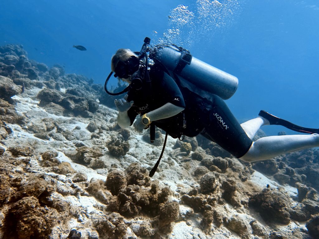 Library corner: Reading is a free passport to travel