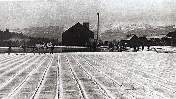 Ice being harvested by Trout Creek Ice Company, circa 1905.