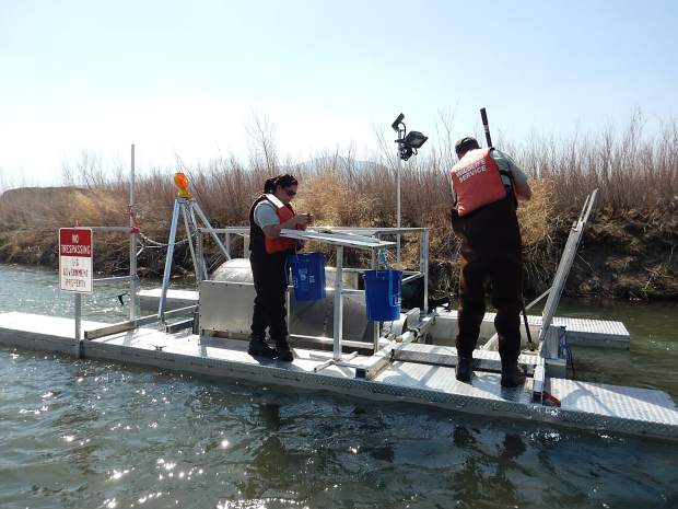 Crews from the U.S. Fish and Wildlife Service operate a screw trap on the Truckee River.