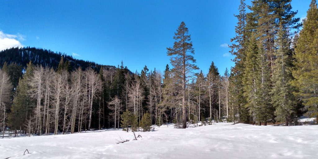 TruckeeTahoe weather Rain and snow return to forecast