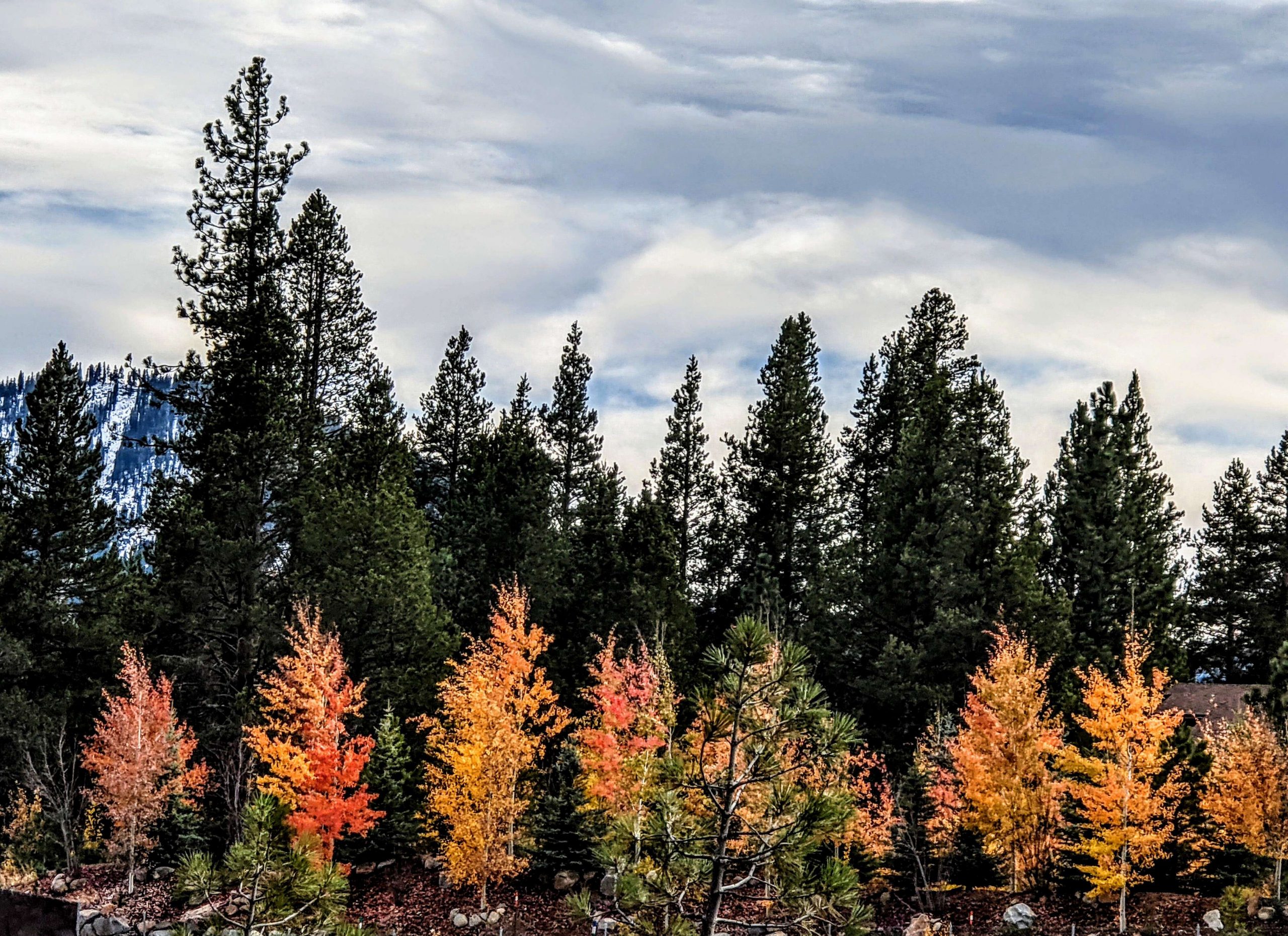 Noaa Truckee Weather - 5ep6vnc