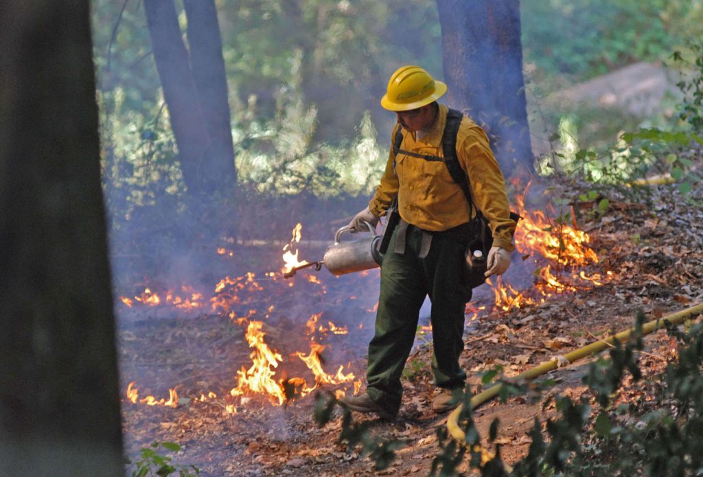 Truckee endorses statewide strategy linking recreation and wildfire resilience