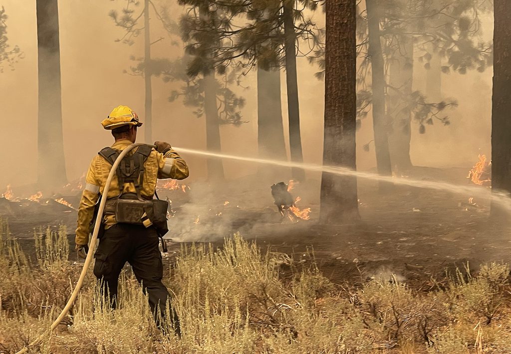 Report on career development strategy focused on creating good jobs in wildfire resilience published 