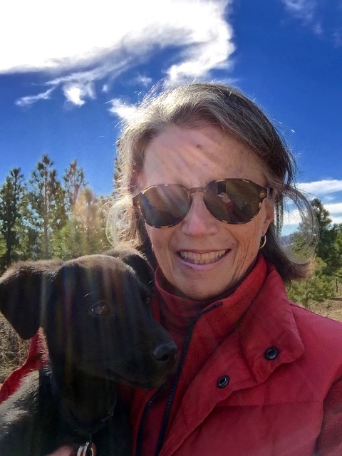 Climate Dispatch: The Trump administration is decimating the United States Forest Service. Don’t let them.