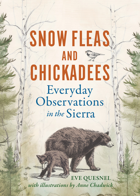 In ‘Snow Fleas and Chickadees,’ Truckee author finds wonder in Tahoe’s backyard
