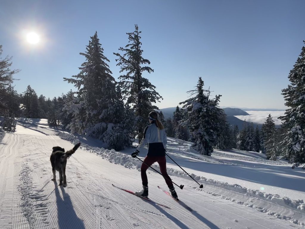 Entertainment this week: Starlight Strolls, Eric Johnson Trio, Winter Wildlife Nordic Ski and more!