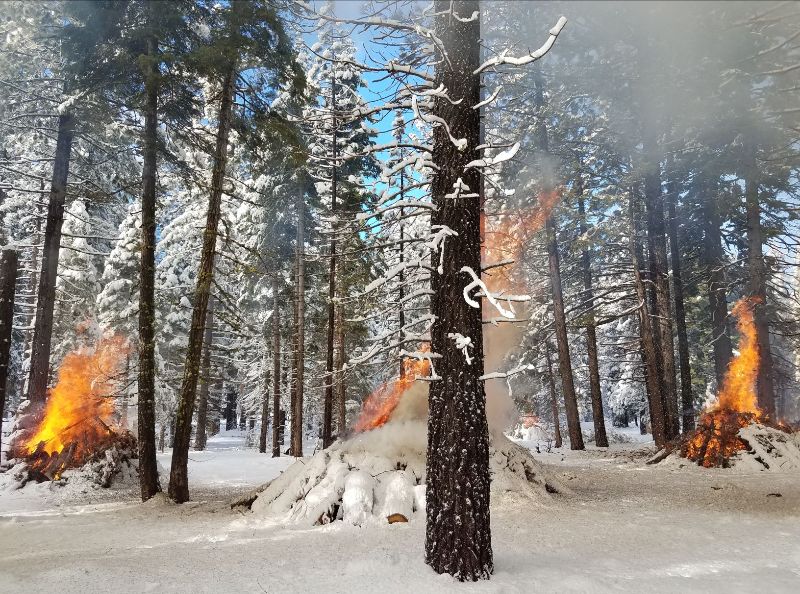 TRPA considers new forest health standards