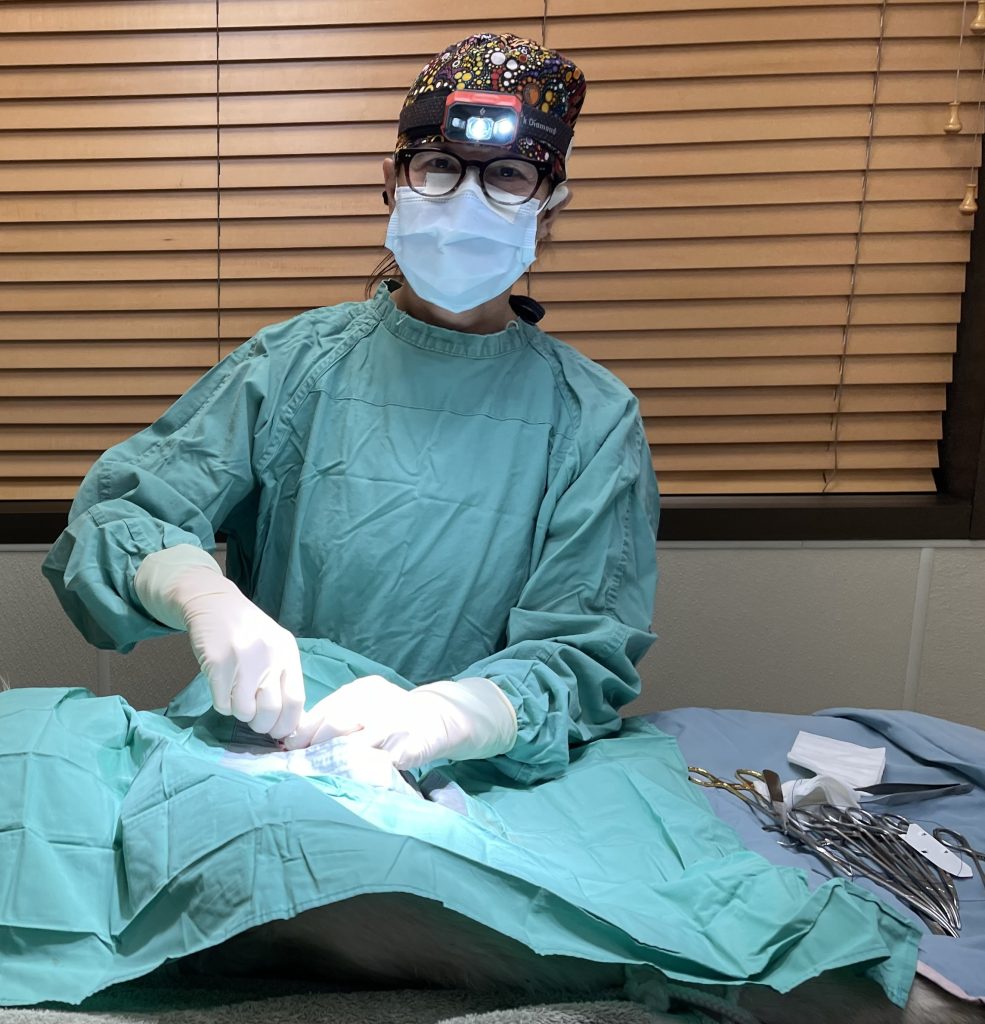 Humane Society of Truckee-Tahoe highlights community spay/neuter services 