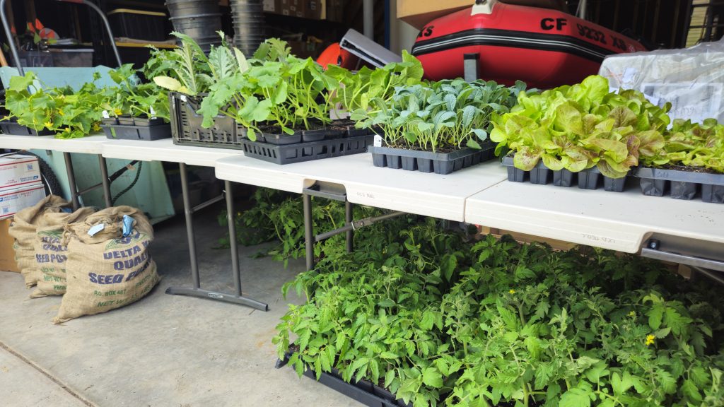 Tahoe City Earth Day Cleanup and High Elevation Gardening series