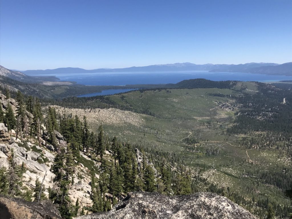 Wildfire-driven deforestation rates in California among highest in world