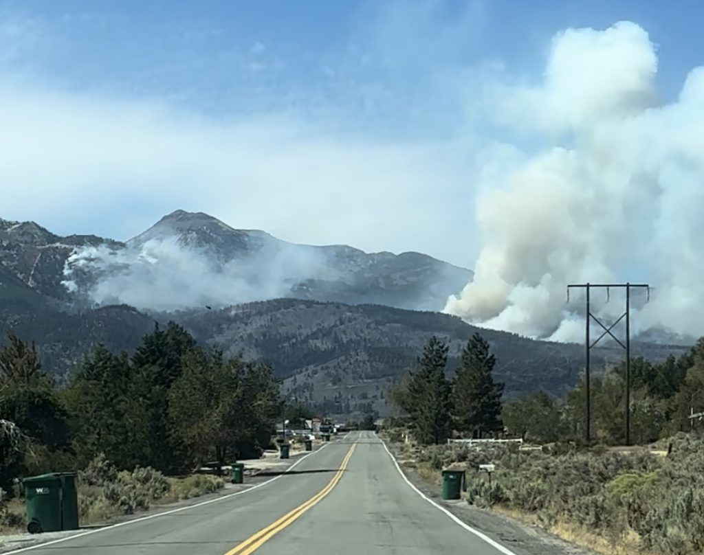Wildfire may come earlier this year