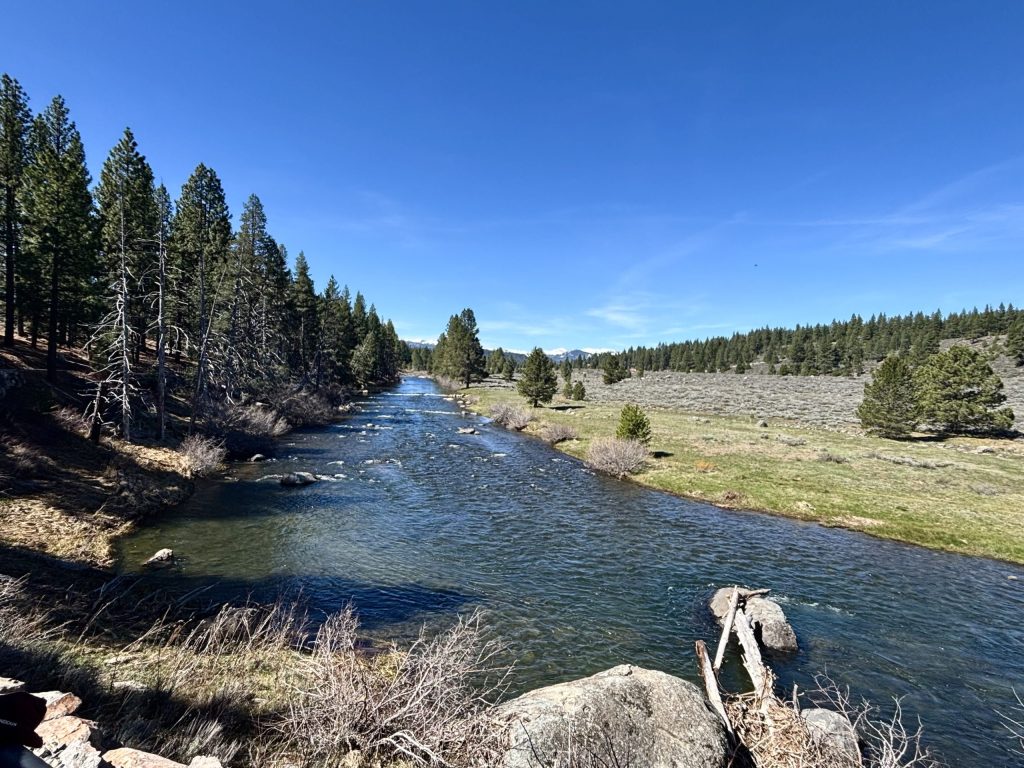 April precipitation ‘too little, too late’ for ideal Nevada water supply